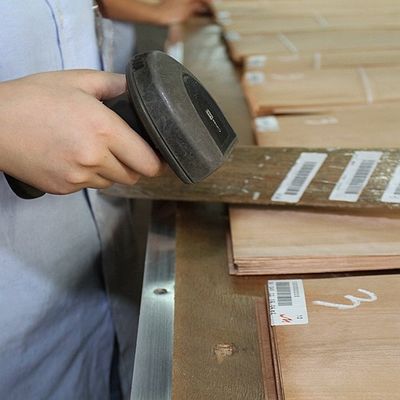 Legno massello fogli di olmo americano di grado A per la corona tagliata al quarto grano colore naturale per la faccia della porta 3200mm in su