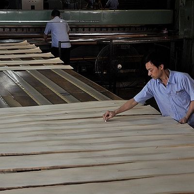 American White Oak Solid Wood Sheet Slice Straight For Fancy Panel And Dyeed Veneer 0,45 mm di spessore
