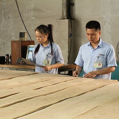 America Red Oak Natural Wood Veneer Slice Cut 0,5 mm Spessore per armadio e porta