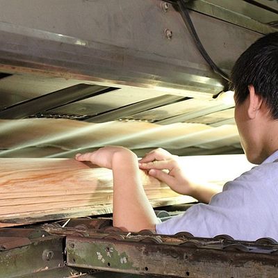 spessore Tamo Ash Veneer For Car Interior naturale di 0.5mm e strumento musicale