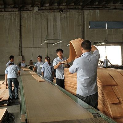 Insolito Legno di Cenere Bianco Naturale Veneer Burl Oliva AA Grade Per Pareti Spessore 0,5 mm