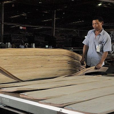 Gli strumenti musicali Africa Anegre hanno calcolato l'impiallacciatura Fiddle Back Grain di legno 0.5mm