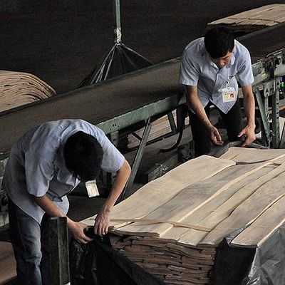Il legno di mogano naturale posteriore tosato impiallaccia la biforcazione speciale di 0.5mm per la decorazione dell'hotel