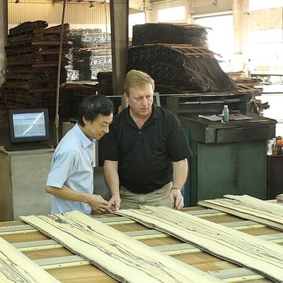 Legno massello fogli di olmo americano di grado A per la corona tagliata al quarto grano colore naturale per la faccia della porta 3200mm in su