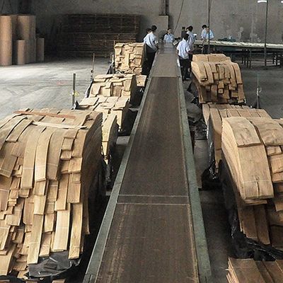 Legno massello fogli di olmo americano di grado A per la corona tagliata al quarto grano colore naturale per la faccia della porta 3200mm in su