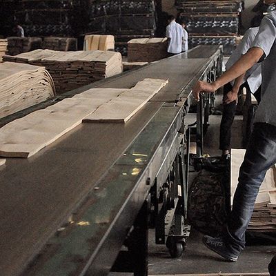 Il quarto naturale dell'impiallacciatura di legno del koto ha tagliato la buona capacità del rifornimento del grano diritto speciale del fiocco per la tintura del processo