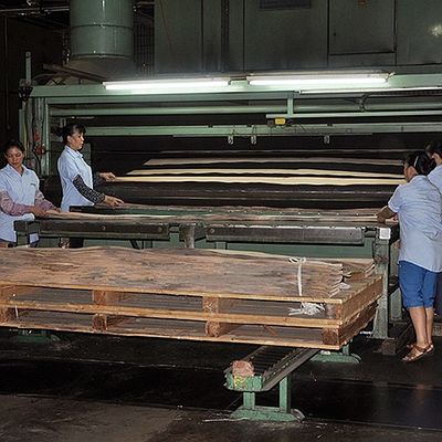 Vernice di legno vero, tagliato in fetta di legno basso per la taglia 13 cm in alto, tagliato piatto, dritto, per il foglio del gabinetto.