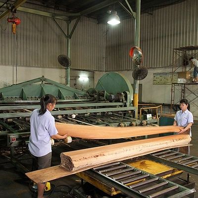 Impiallacciatura Fiddle Back Grain diritto di legno dell'Africa Makore degli strumenti musicali