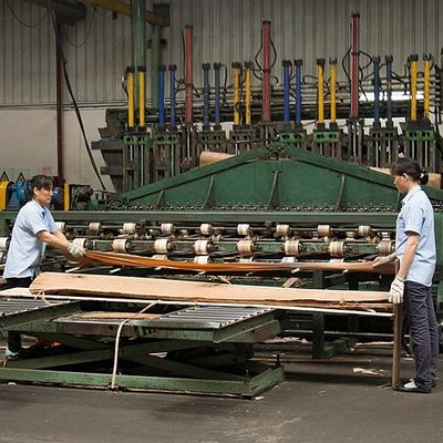 Il quarto ha tagliato Prima Vera Veneer For Doors And calcolata diritta irregolare Windows