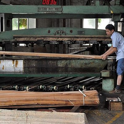 grado naturale AAA del grano diritto dell'impiallacciatura di legno dell'Africa Makore degli strumenti musicali di 0.5mm