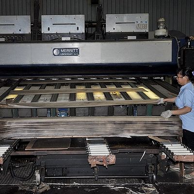 Il legno naturale della zebra dell'Africa occidentale impiallaccia Zebrano che la corona tagliata piana ha tagliato l'alta qualità per l'automobile la Cina interna fa