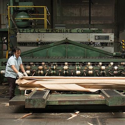 Il legno naturale di Okoume impiallaccia specialmente il servizio della partita di slittamento del grano della biforcazione per la decorazione dell'hotel