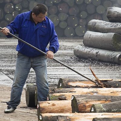L'Africa che il quarto naturale dell'impiallacciatura di legno del koto ha tagliato la buona qualità del grano diritto per il processo di tintura può essere personalizzata