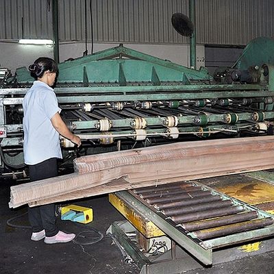 Il quarto ha tagliato Prima Vera Veneer For Doors And calcolata diritta irregolare Windows