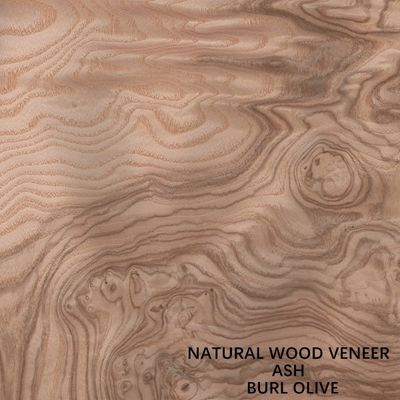 Insolito Legno di Cenere Bianco Naturale Veneer Burl Oliva AA Grade Per Pareti Spessore 0,5 mm