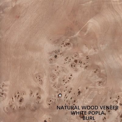 Il legno naturale del pioppo di Europa impiallaccia Mapa Burl Grain High Quality Thickness 0.5mm per lo strumento musicale