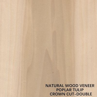Il legno naturale americano del pioppo di doppio colore impiallaccia la corona tagliata piana per compensato operato