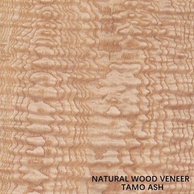 spessore Tamo Ash Veneer For Car Interior naturale di 0.5mm e strumento musicale