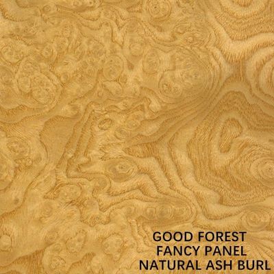 Allungato gradui la mano secondo la misura naturale del pannello di Ash Burl Wood Veneer Paint Free affrontata 2745mm che impiomba per la decorazione dell'hotel