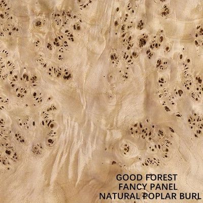 Il pannello operato ha affrontato il rifornimento bianco naturale della Cina di dimensione allungato 2440/2745mm della decorazione di Burl Wood Veneer For Hotel del pioppo