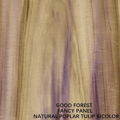 MDF di Tulip Plywood Based/truciolato/pannello truciolare bicolori operati per il pannello della mobilia
