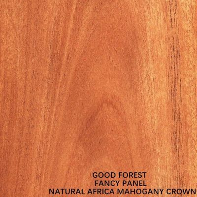 Dimensione standard 2440*1220mm del grano della corona dell'impiallacciatura di legno di mogano naturale dell'Africa per il Governo della porta FSC