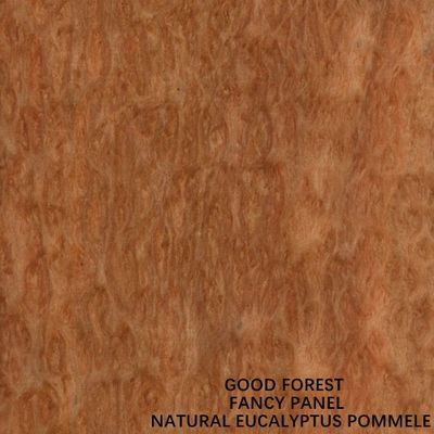 Speciale Eucalyptus Fancy Compensato Bordo Pommele Grano 2745mm Lunghezza Dimensione Per La Decorazione Dell'hotel