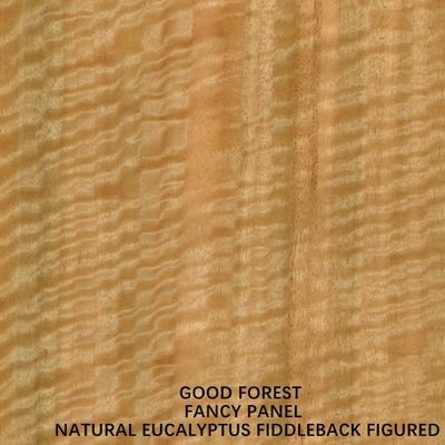 Un Normal Eucalyptus Fiddleback Figured Fancy Compensato Bordo MDF Truciolare 3/5/9/12/15/18/25/30mm Spessore
