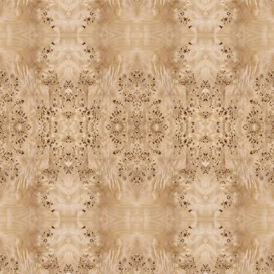 Il pannello operato ha affrontato il rifornimento bianco naturale della Cina di dimensione allungato 2440/2745mm della decorazione di Burl Wood Veneer For Hotel del pioppo