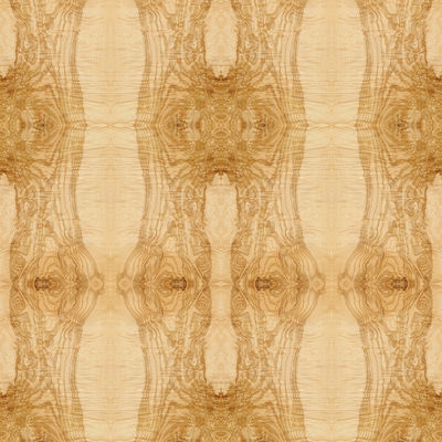 Immaginazione allungata Ash Burl Oliver Wood Veneer Book Match naturale di dimensione che impiomba per l'iso della decorazione dell'hotel