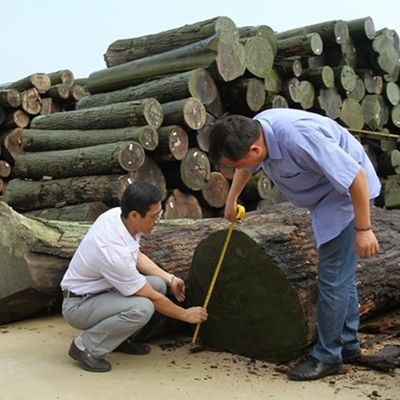 Fancy ricomposto di legno rivestimento di pera d'argento fetta di taglio tecniche per la larghezza del grano dritto 1280mm Splicing per la pelle della porta