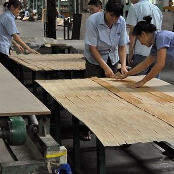 Tessitura reticolare Doppio colore Veneer in legno ingegnerizzato 2850mm Spessore personalizzato