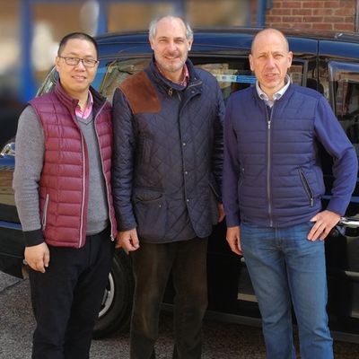 Nuovo design di foglio impiallacciato in legno di rovere cinese ingegnerizzato NCO-L891N/L268N 0,3 mm con retro in tessuto per facciate di mobili