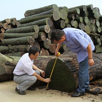 Nuovo disegno del rivestimento artificiale in legno di cedro FCW-L146N/L246C Tecnica di taglio a fette 2*8 pollici per la faccia del gabinetto