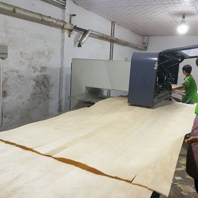 Servizio personalizzato Ingegneria Veneer legno allungato dimensione 3100mm