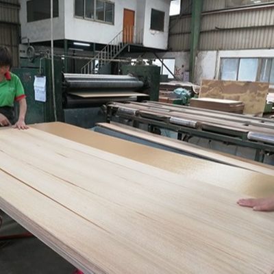 Servizio personalizzato Ingegneria Veneer legno allungato dimensione 3100mm