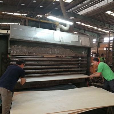 Fabbrica di finitura in legno ingegnerizzato di alta qualità Freccia d'argento SI.AW-X8023 Granello tridimensionale per decorazioni alberghiere Cina