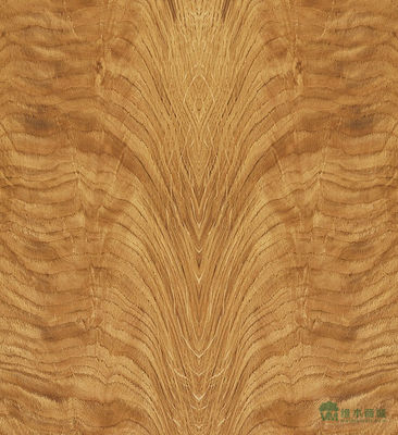 American White Oak Solid Wood Sheet Slice Straight For Fancy Panel And Dyeed Veneer 0,45 mm di spessore