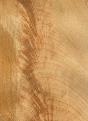 Legno di ciliegio americano naturale, fetta di rivestimento, tagliato piatto, 2200-3200 mm, dimensioni normali, per la decorazione dei mobili