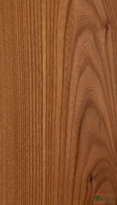 Legno massello fogli di olmo americano di grado A per la corona tagliata al quarto grano colore naturale per la faccia della porta 3200mm in su