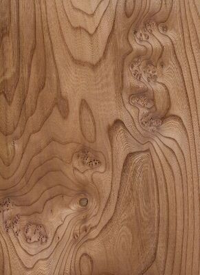 Legno massello fogli di olmo americano di grado A per la corona tagliata al quarto grano colore naturale per la faccia della porta 3200mm in su