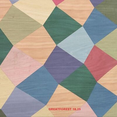 Impiallacciatura artistica per parquet in legno 2500*640mm Lavorazione artigianale sagomata su misura per carta da parati