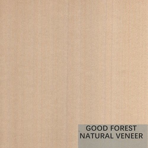 Colore eccellente di Mappa Tulip Natural Wood Veneer Boxwood doppio