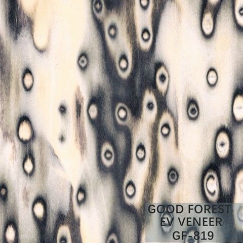 Dimensione di legno costruita di Burl Wood Veneer EV 2500*640 millimetro dell'albero dell'impiallacciatura