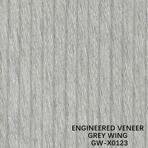 La decorazione 3100mm di iso ha costruito l'impiallacciatura di legno Wing Exotic Grain Grey Color insolito
