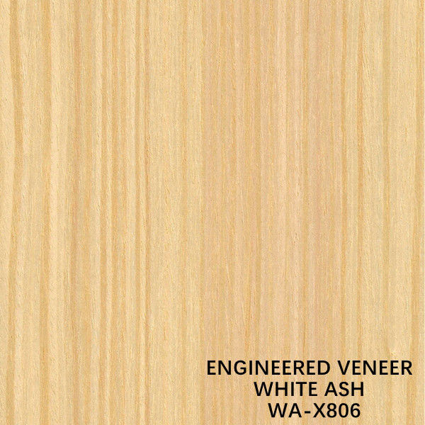 Ash Wood Veneer naturale decorativo ricostituito con gli artigianato Fineline - di un grano X806