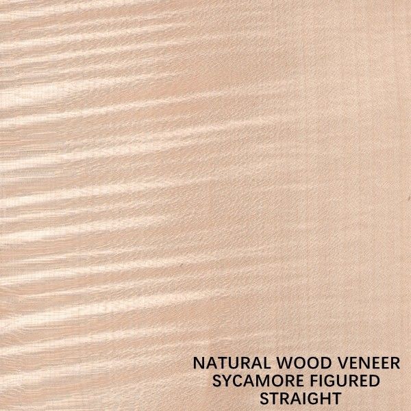Il quarto calcolato naturale dell'impiallacciatura di legno del sicomoro di Europa ha tagliato lo spessore 0.5mm del grano diritto per la morte ed il Governo