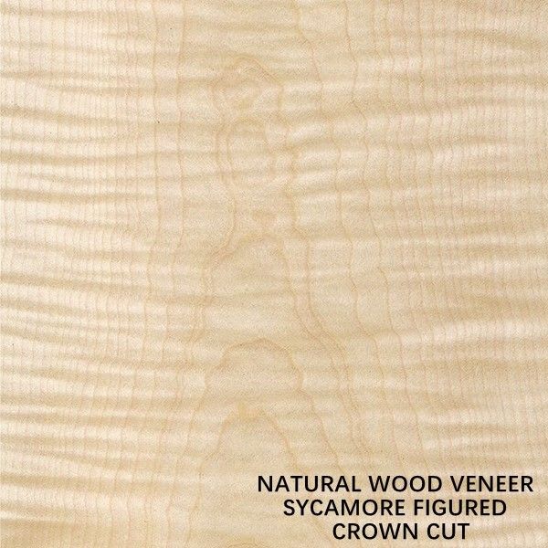 Europa che il legno calcolato naturale del sicomoro impiallaccia la corona tagliata piana ha tagliato lo spessore 0.5mm per la morte ed il Governo