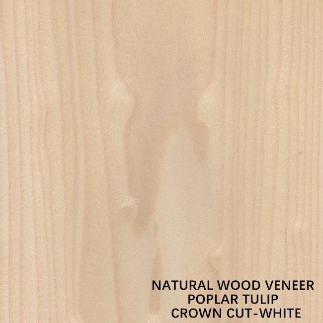 Tulip American Natural Poplar Wood impiallaccia la corona tagliata piana bianca per le porte