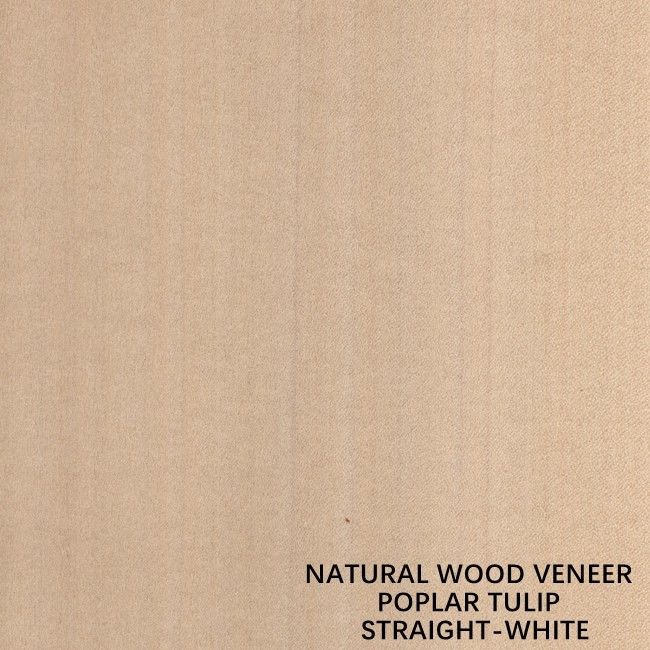 Impiallacciatura naturale americana di legno del pioppo di colore bianco diritto per compensato/porta operati